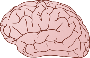 Medical Malpractice Brain Injury