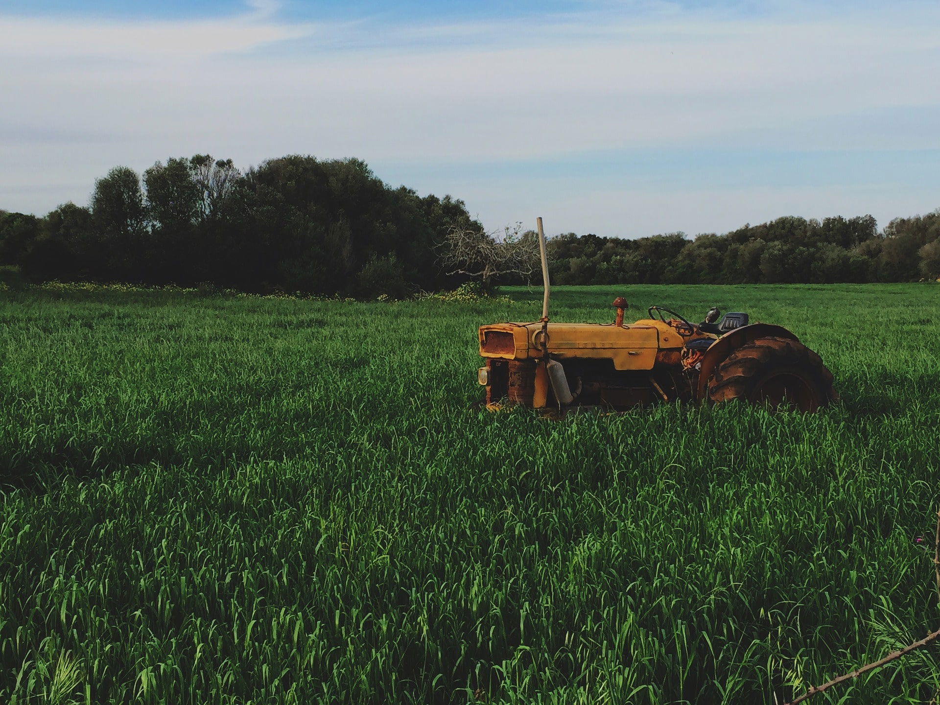 Paraquat Lawsuit Attorney