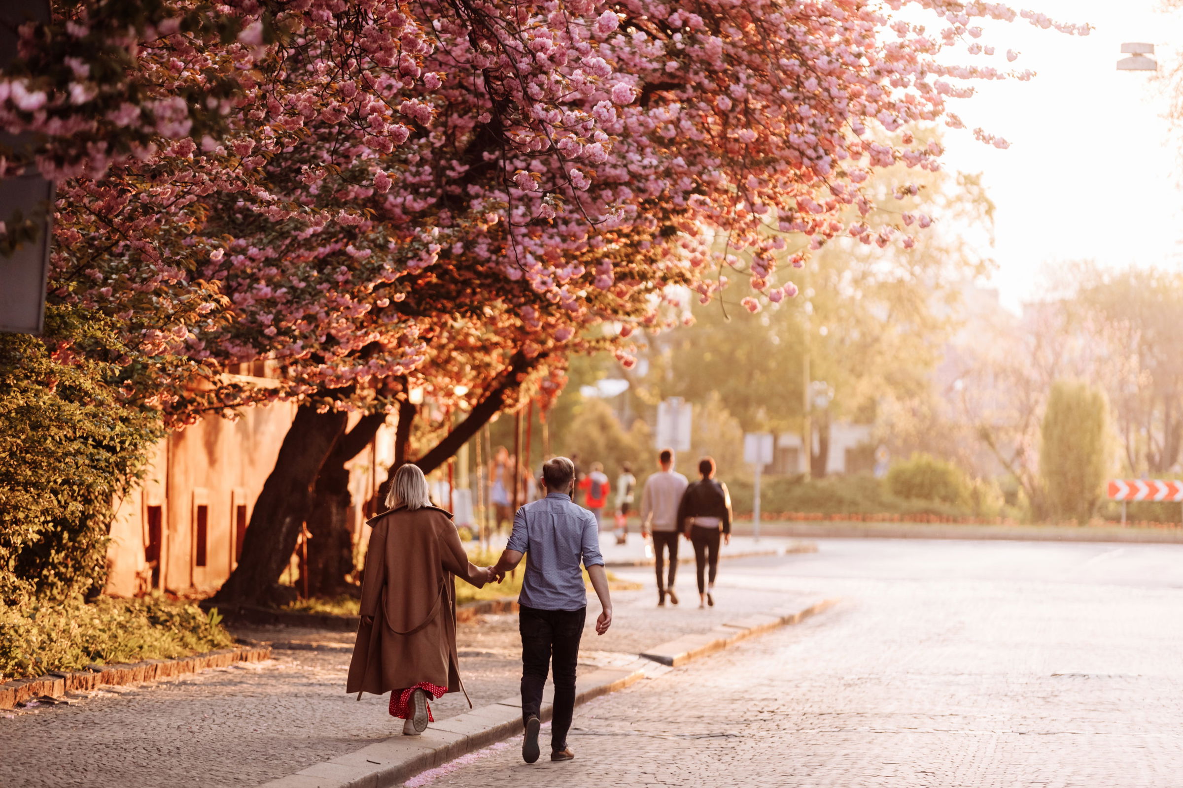 Here’s what Philadelphians need to know to understand the risks of slip and fall injuries during their spring outings.